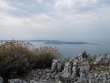 34. pogled